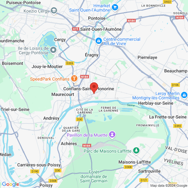 google map