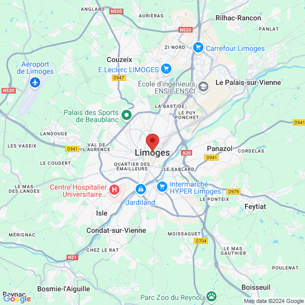 google map
