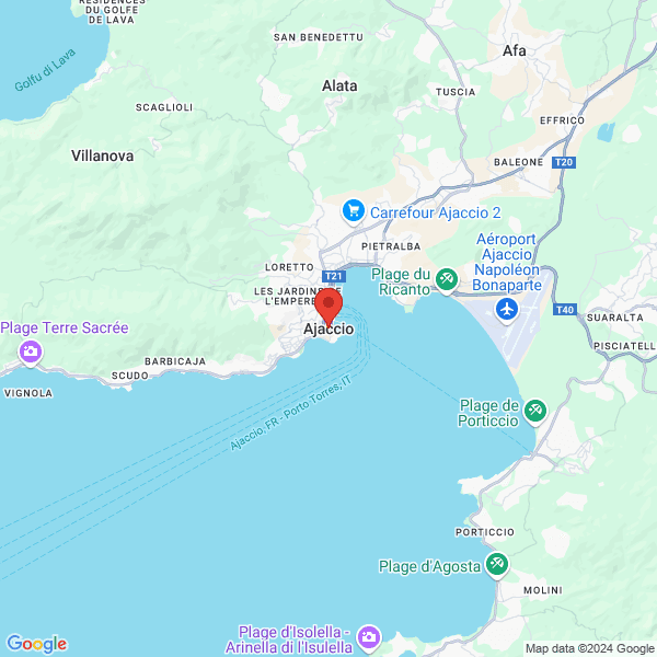 google map