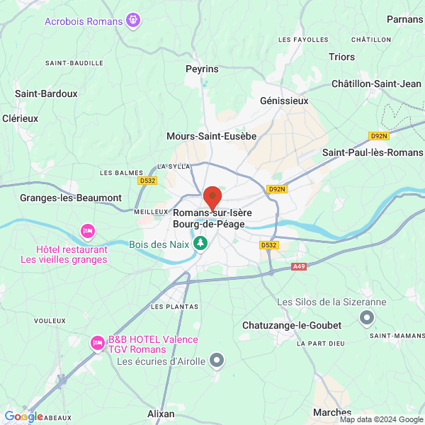 google map