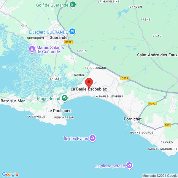google map