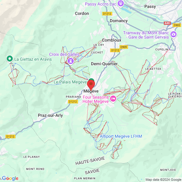 google map
