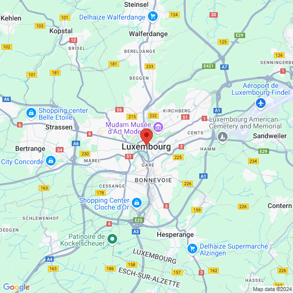 google map