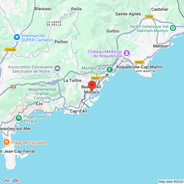 google map