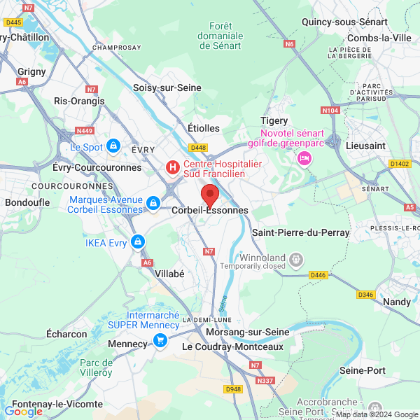 google map