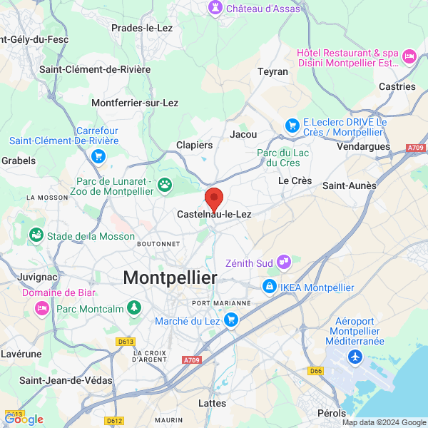 google map