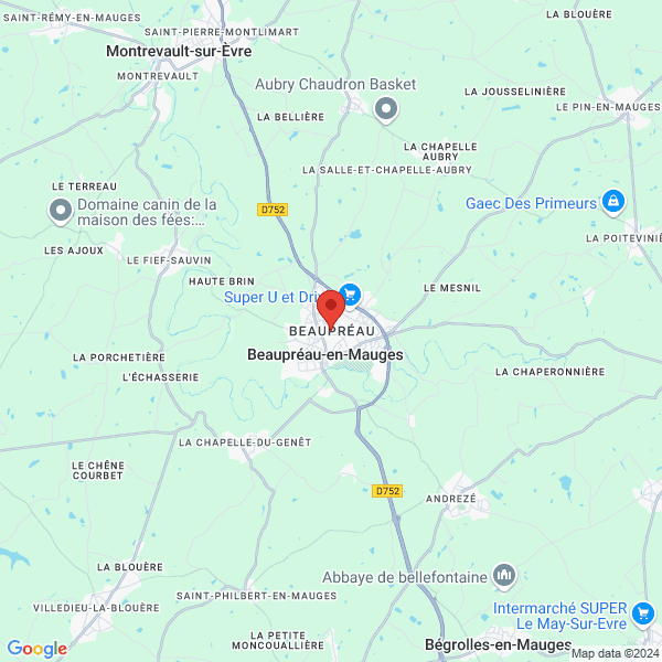 google map
