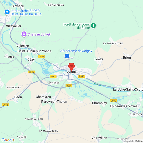 google map