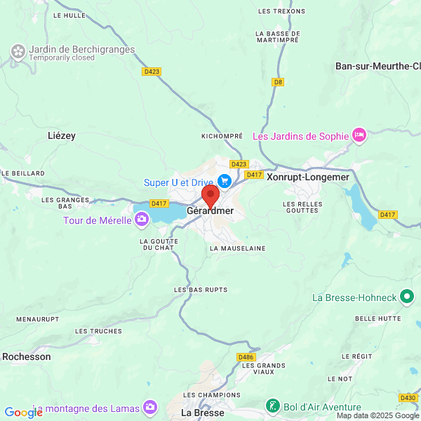 google map
