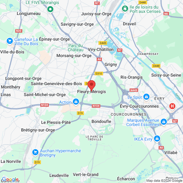google map