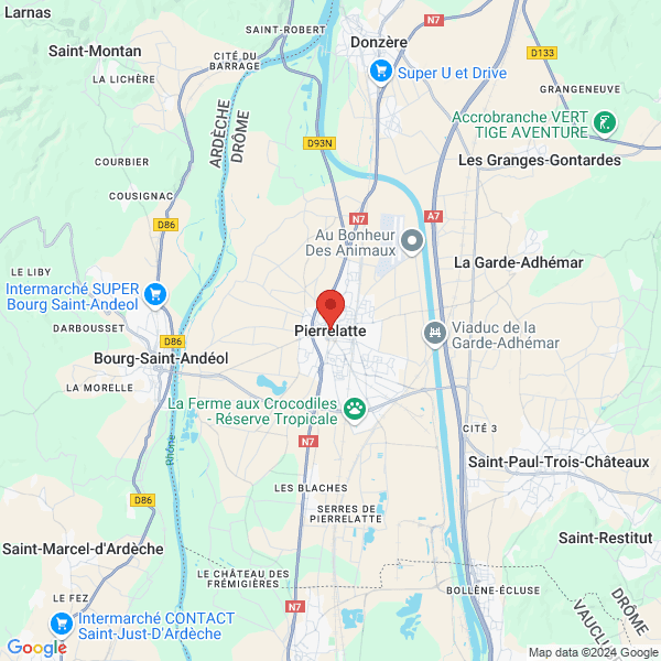 google map