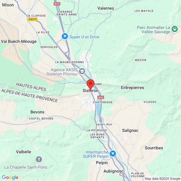 google map
