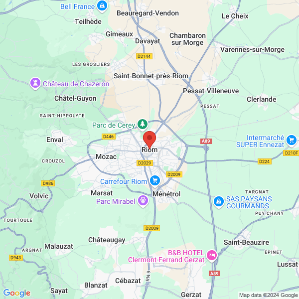 google map