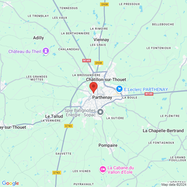 google map