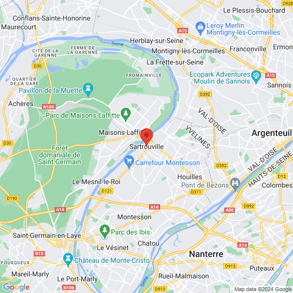 google map