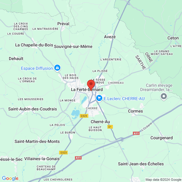 google map