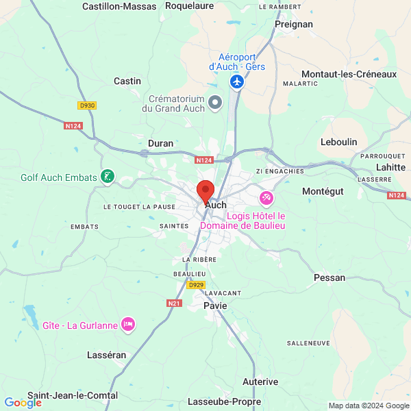 google map