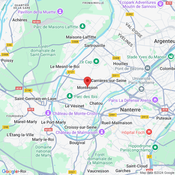 google map