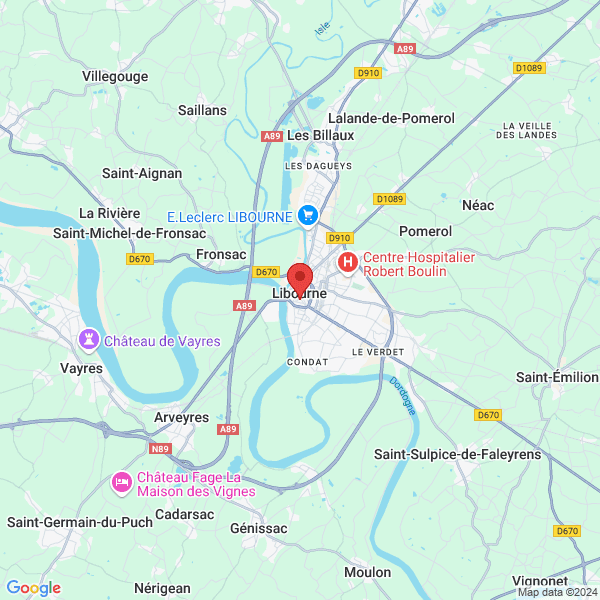 google map
