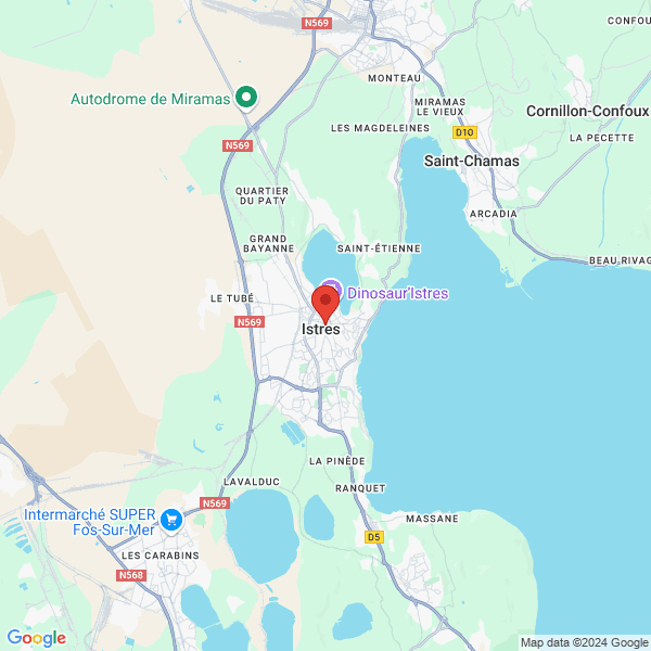 google map
