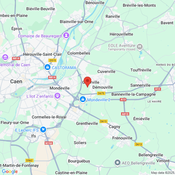 google map