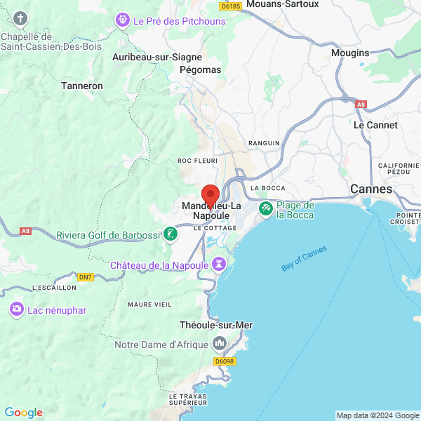 google map