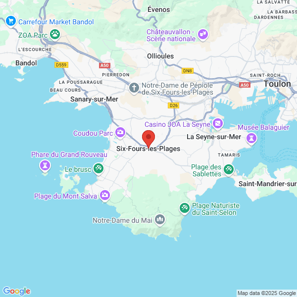 google map