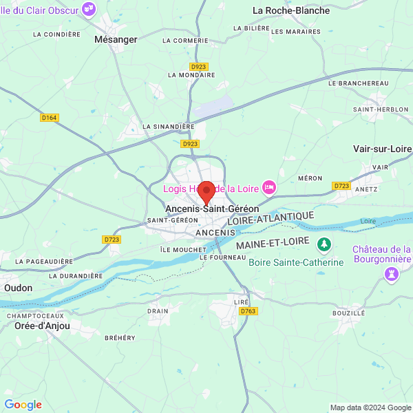 google map