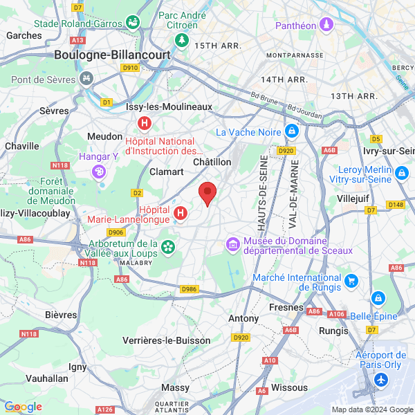 google map