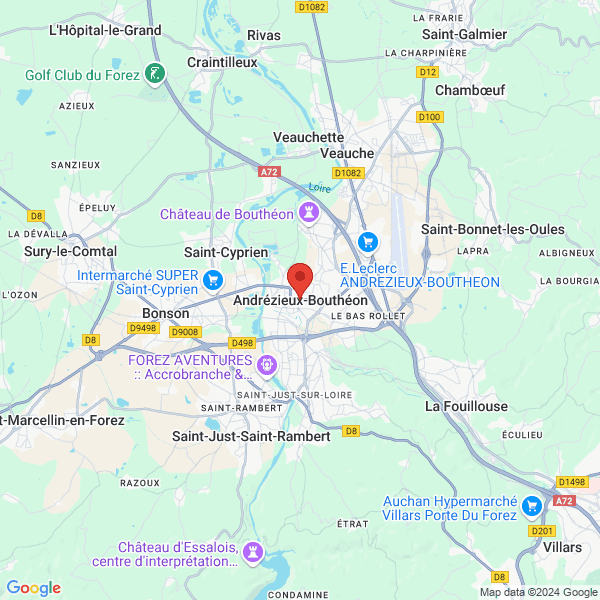 google map