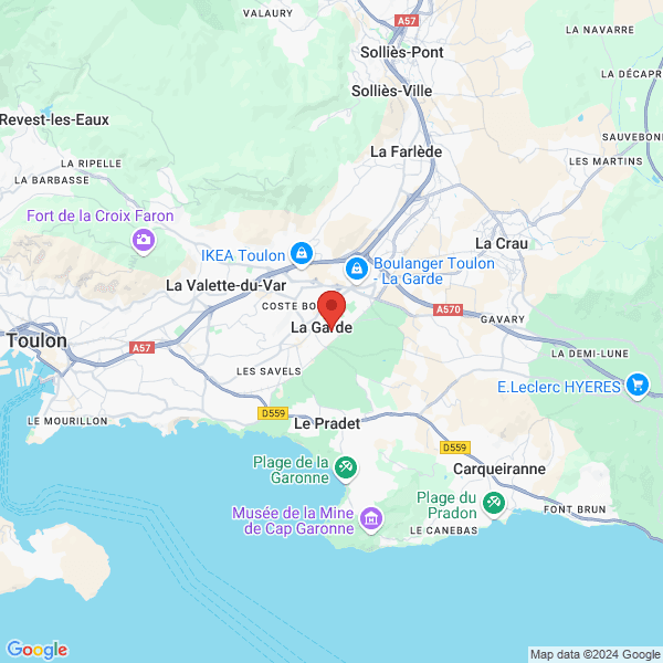 google map