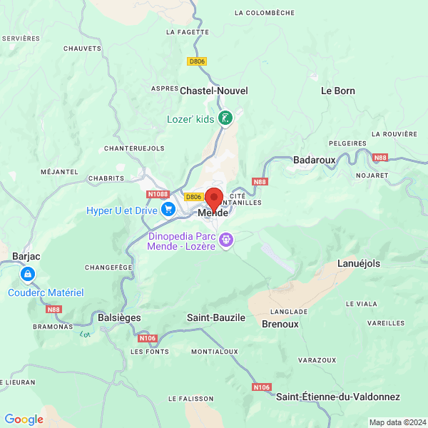 google map