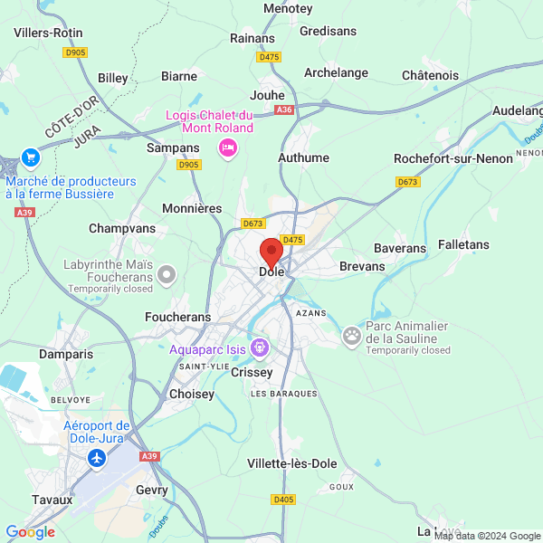 google map