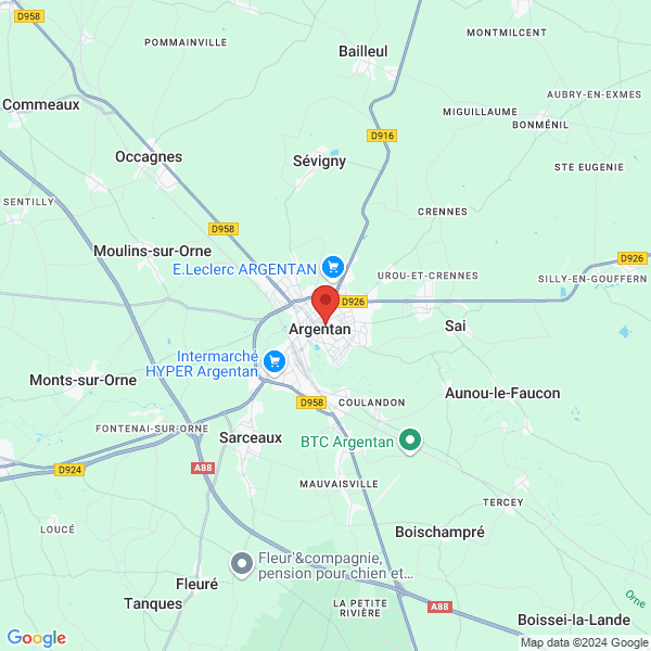 google map