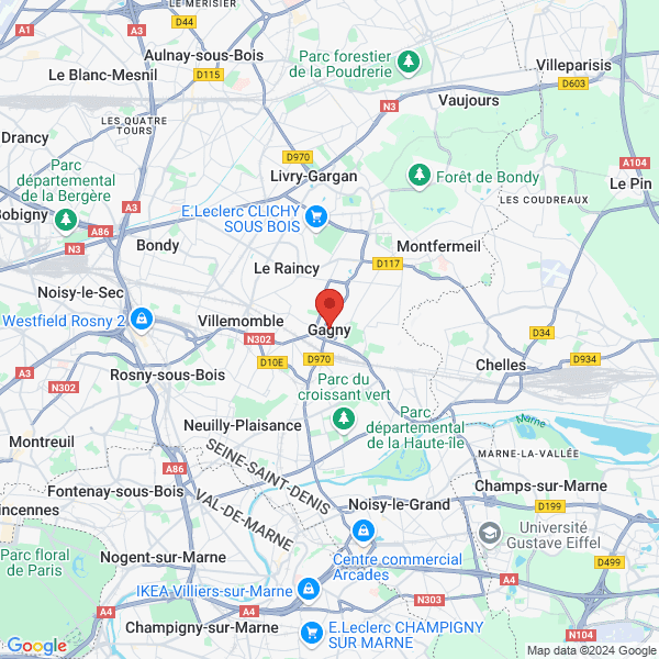 google map