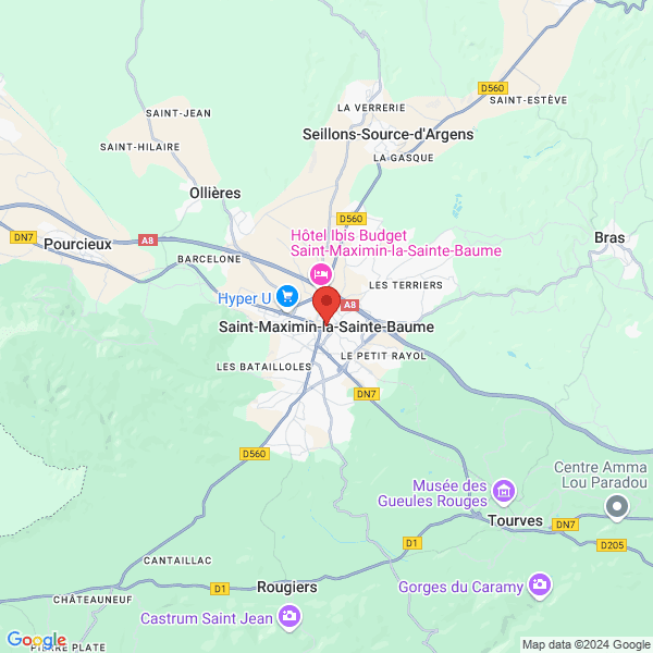 google map