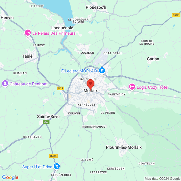 google map