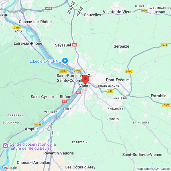 google map