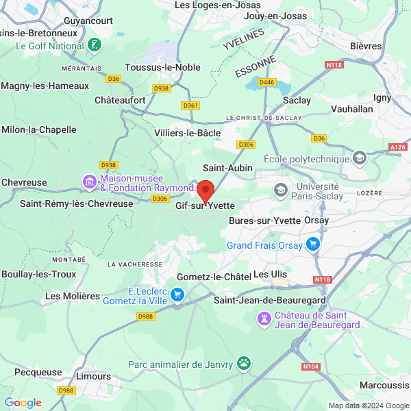 google map