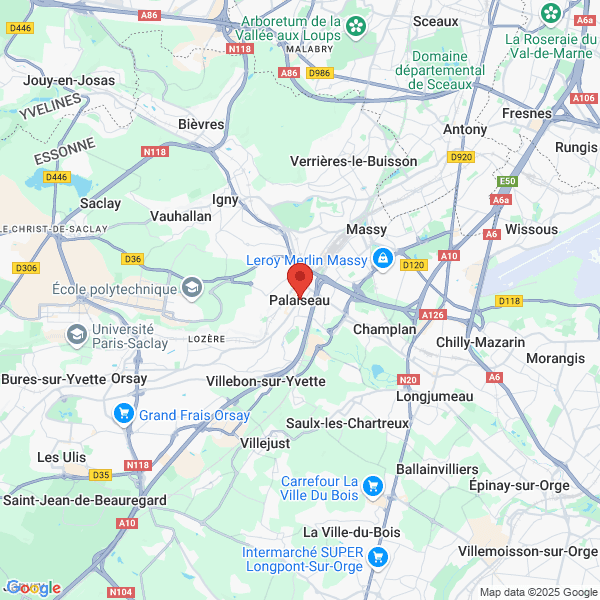 google map