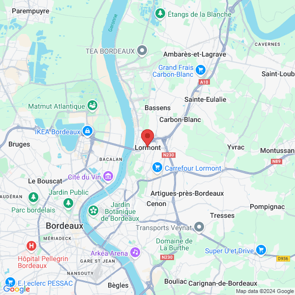 google map