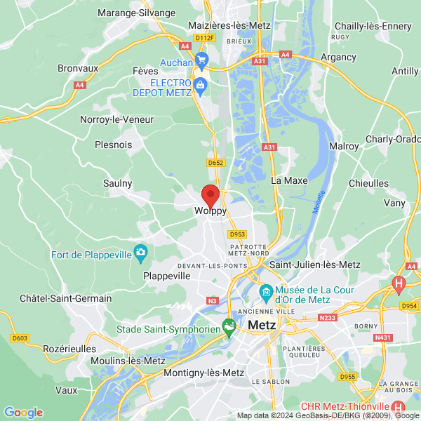 google map