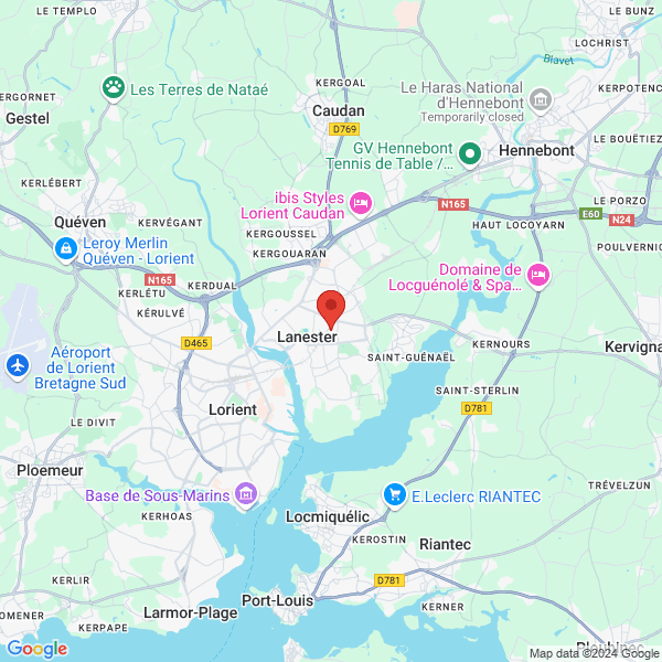 google map