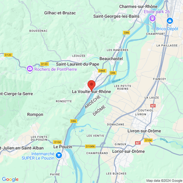 google map