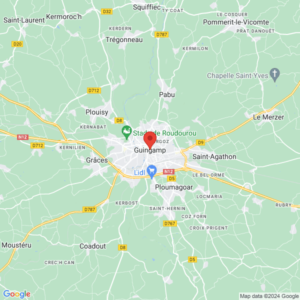 google map