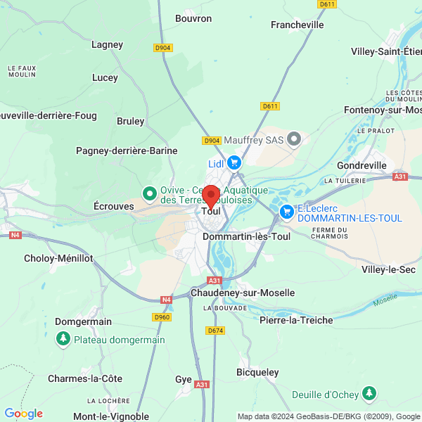 google map