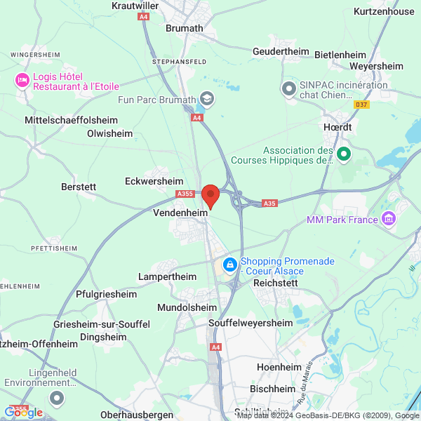 google map