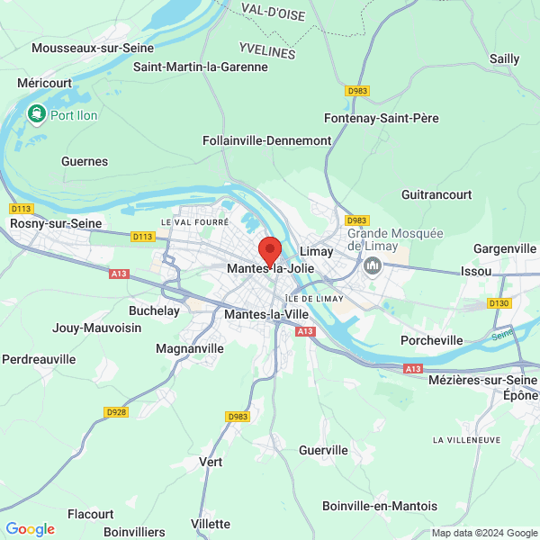 google map