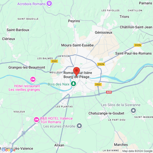 google map