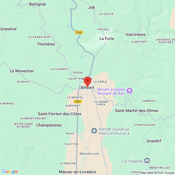 google map